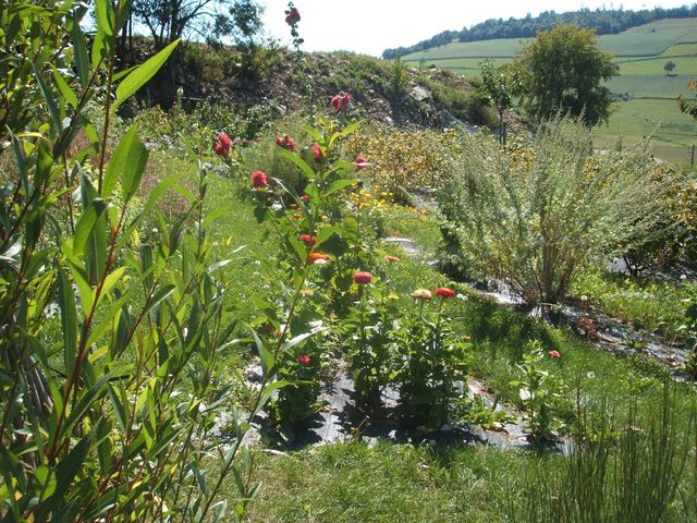image016.jpg